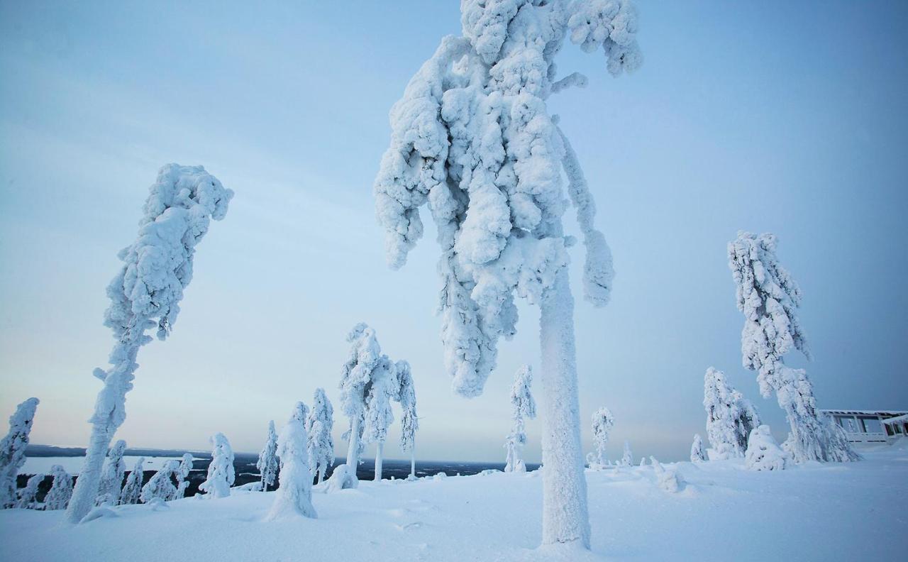 Paltamo Arctic Giantアパートホテル エクステリア 写真